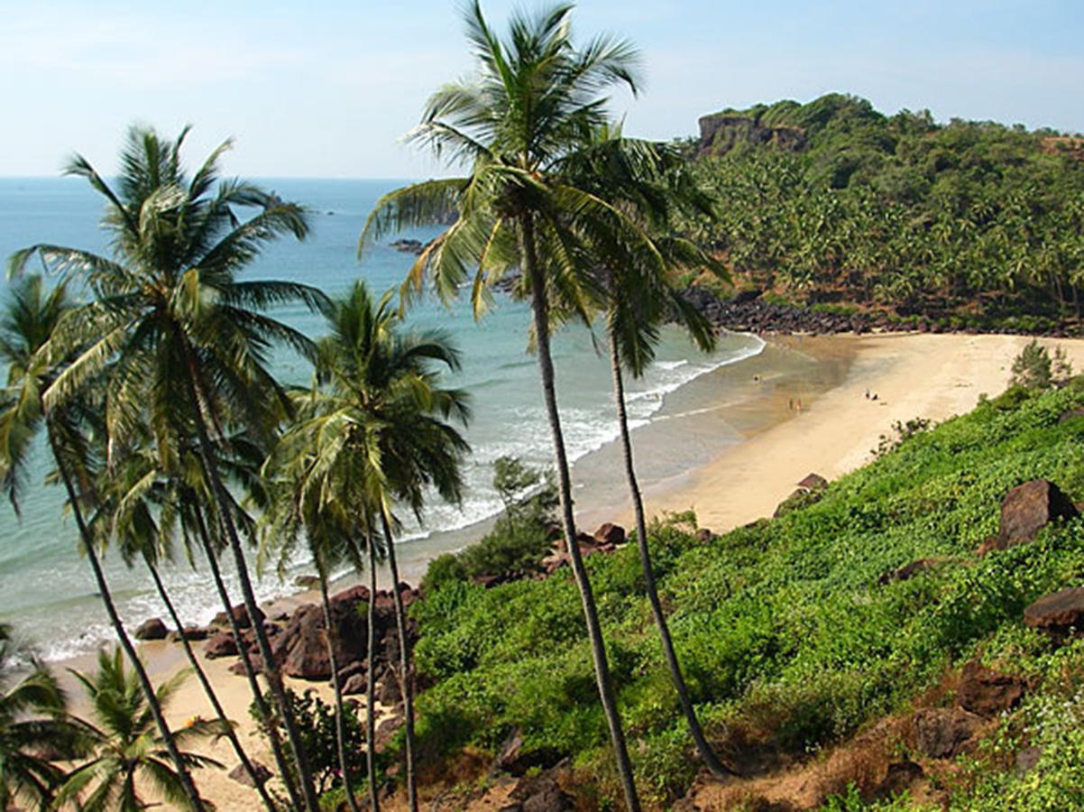 Blue Lagoon Resort Goa Cola Εξωτερικό φωτογραφία