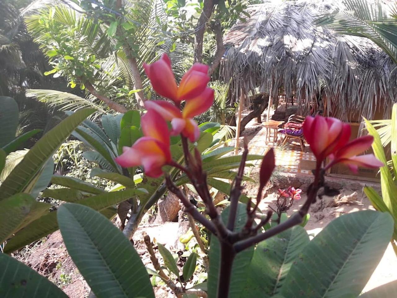 Blue Lagoon Resort Goa Cola Εξωτερικό φωτογραφία